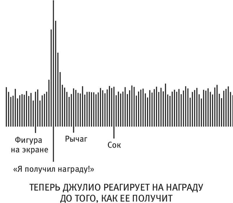 Власть привычки. Почему мы живем и работаем именно так, а не иначе - i_010.jpg