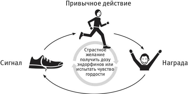 Власть привычки. Почему мы живем и работаем именно так, а не иначе - i_017.jpg