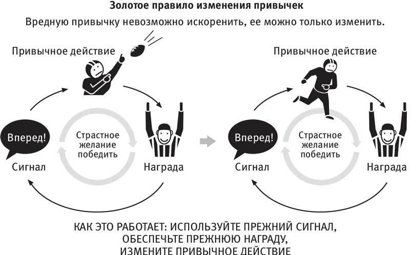 Власть привычки. Почему мы живем и работаем именно так, а не иначе - i_020.jpg