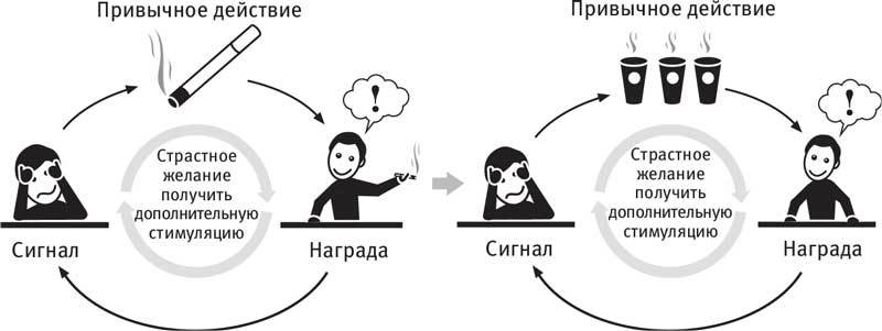 Власть привычки. Почему мы живем и работаем именно так, а не иначе - i_025.jpg