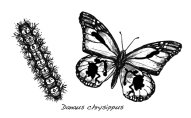 Седьмая казнь - i_010.jpg