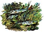 Колдовской сапфир - i_048.jpg