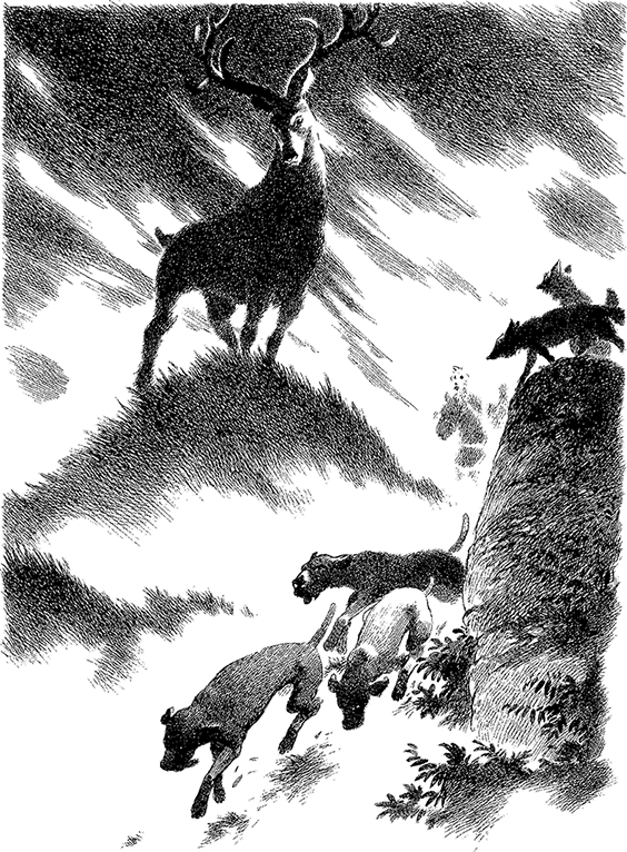 Дамы из Грейс-Адьё и другие истории (сборник) - i_005.png