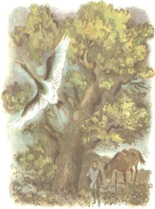Библиотека мировой литературы для детей (Том 30. Книга 2) - i_022.jpg