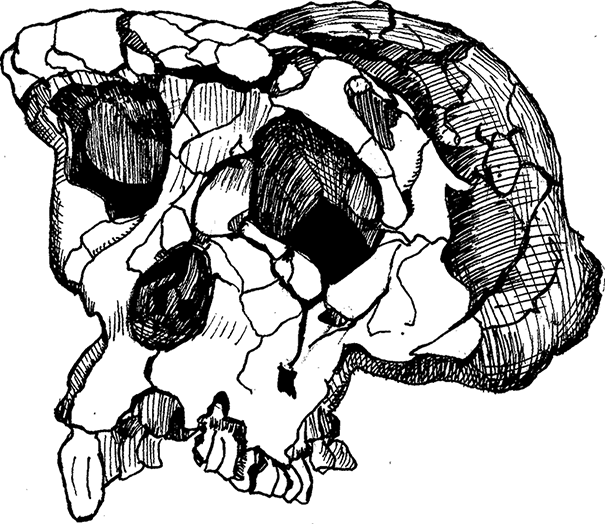 Достающее звено. Книга 2. Люди - i_002.png