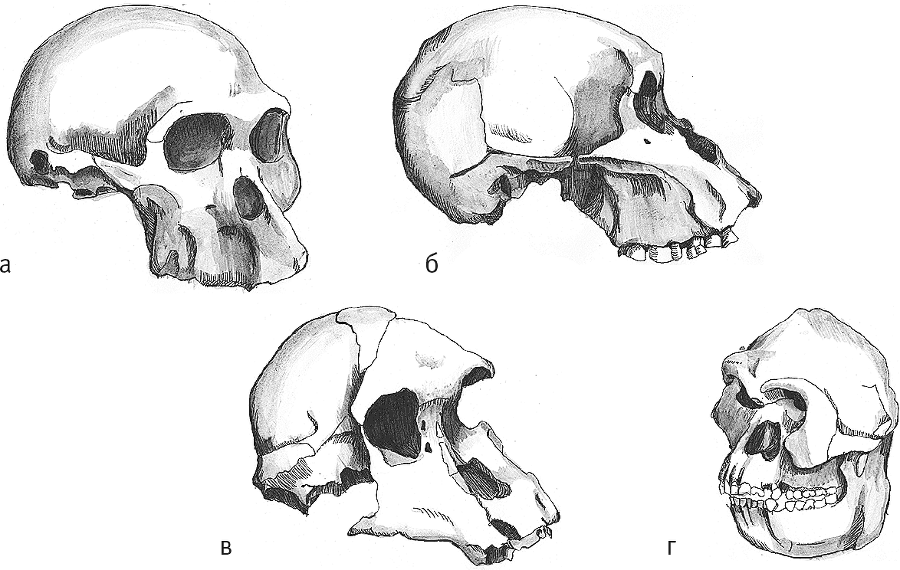 Достающее звено. Книга 2. Люди - i_010.png