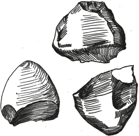 Достающее звено. Книга 2. Люди - i_014.png