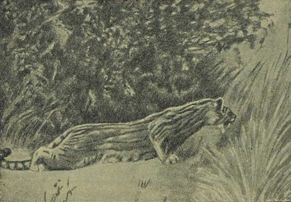 Следы на камне - i_135.jpg