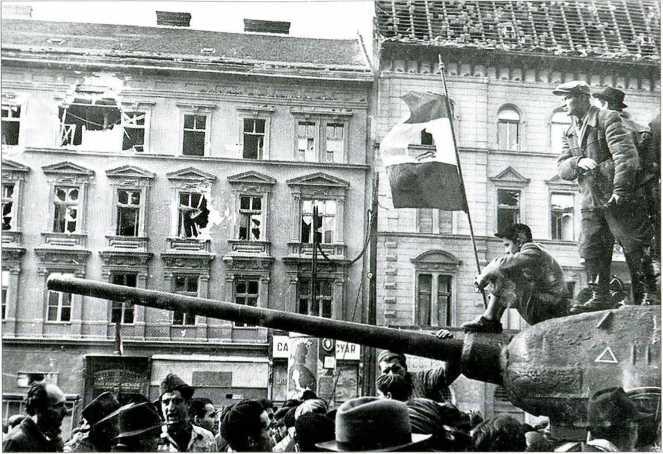 1956. Венгрия глазами очевидца - i_011.jpg