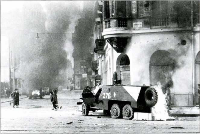 1956. Венгрия глазами очевидца - i_014.jpg
