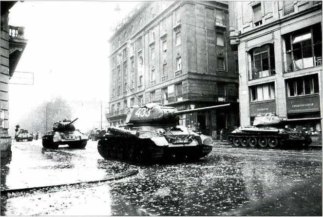 1956. Венгрия глазами очевидца - i_017.jpg