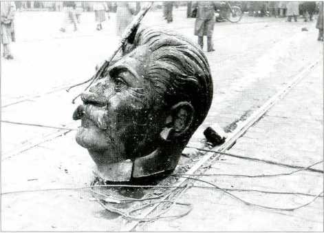 1956. Венгрия глазами очевидца - i_019.jpg