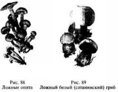 Школа выживания в природных условиях - pic_99.jpg