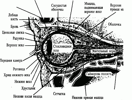 Опыт дурака, или Ключ к прозрению - i_027.png