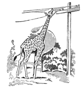 Всемирный следопыт, 1928 № 10 - i_049.png