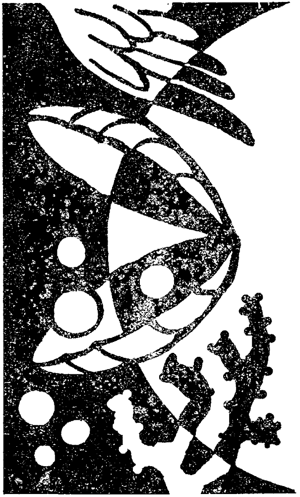 Я познаю мир. Драгоценные камни и минералы - image38.png