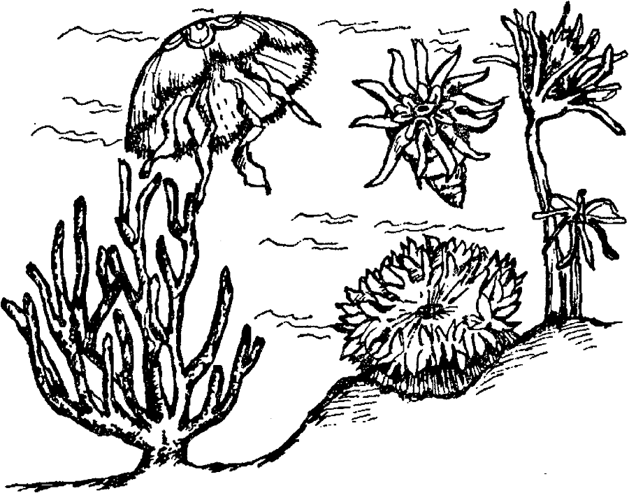 Я познаю мир. Драгоценные камни и минералы - image61.png