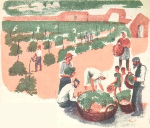 Еврейский колхоз - i_006.jpg