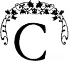 Святая ночь<br />(Сборник повестей и рассказов зарубежных писателей) - i_009.jpg