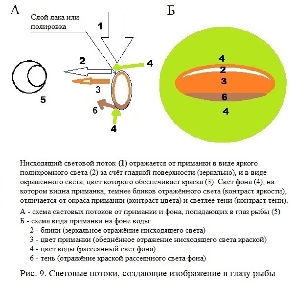 Основы цветоведения в практике спиннинга и нахлыста - _10.jpg