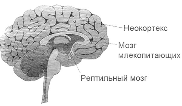 ПроДавать - i000004600000.png