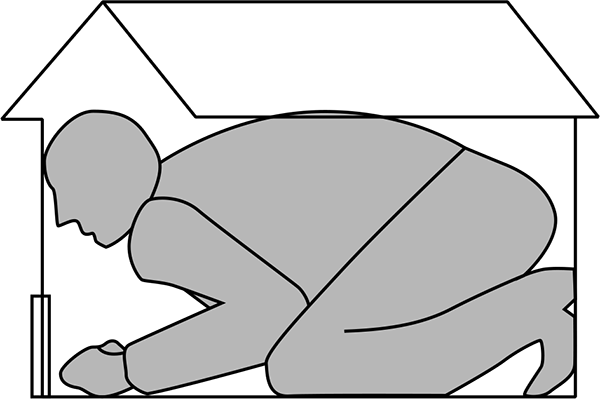 Полная энциклопедия фэншуй - i_055.png