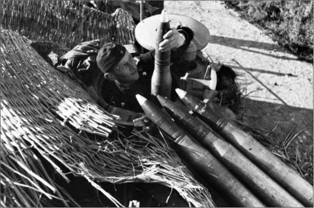 Танки III Рейха. Том II<br />(Самая полная энциклопедия) - i_253.jpg