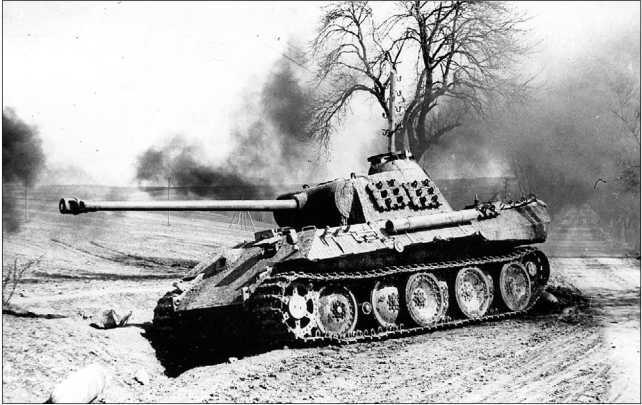 Танки III Рейха. Том II<br />(Самая полная энциклопедия) - i_293.jpg