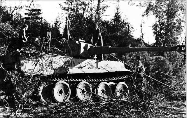 Танки III Рейха. Том III - i_075.jpg