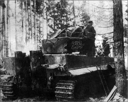 Танки III Рейха. Том III - i_131.jpg