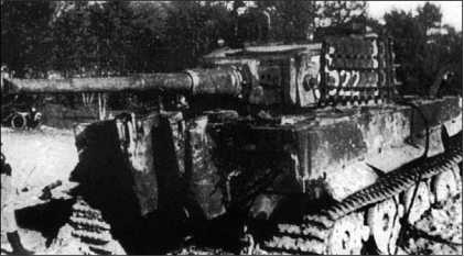 Танки III Рейха. Том III - i_133.jpg