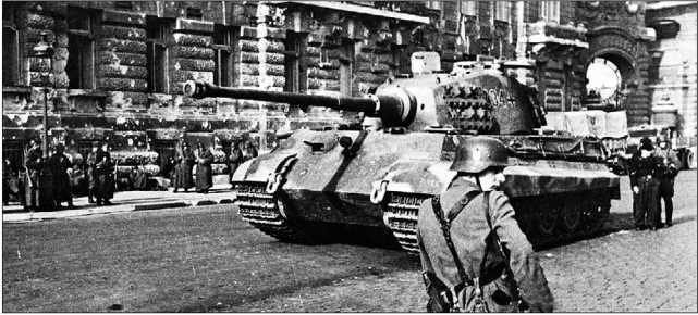 Танки III Рейха. Том III - i_215.jpg