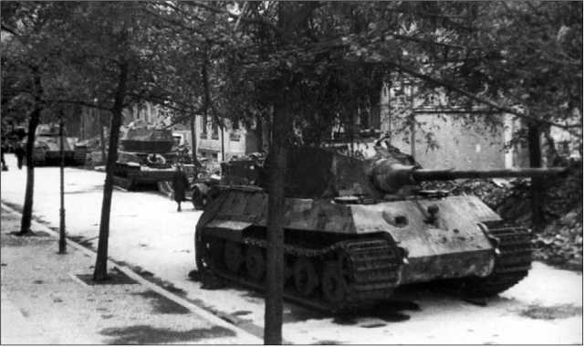Танки III Рейха. Том III - i_226.jpg