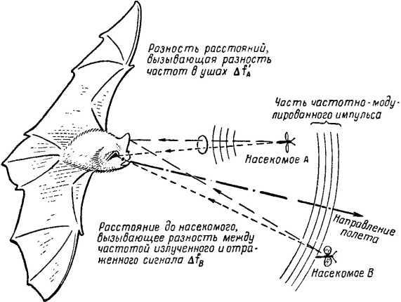 Что такое бионика - i_008.jpg