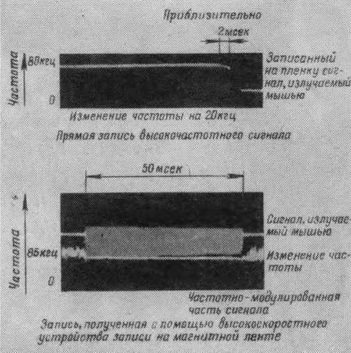 Что такое бионика - i_009.jpg