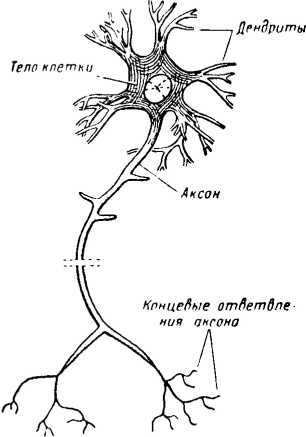 Что такое бионика - i_025.jpg