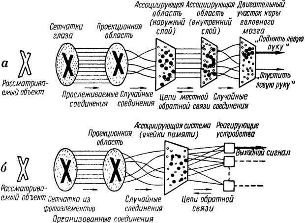 Что такое бионика - i_030.jpg