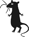 Крысявки. Крысиное житие в байках и картинках - i_010.png
