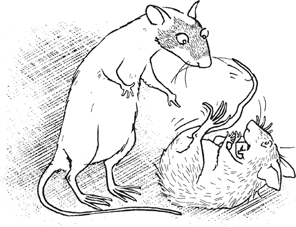 Крысявки. Крысиное житие в байках и картинках - i_011.png