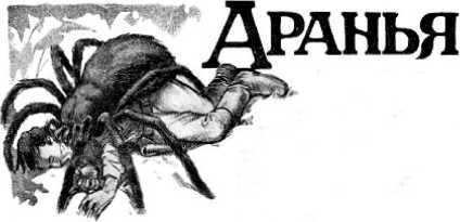 Арахна<br />(Рассказы о пауках. Том I) - i_028.jpg