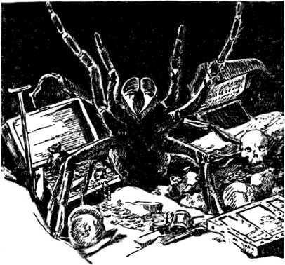 Арахна<br />(Рассказы о пауках. Том I) - i_033.jpg