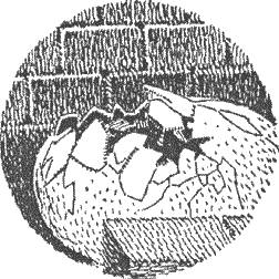 Бокал звезд - _15.png