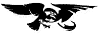 Пират - i_001.png