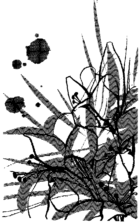 Том 2. Реквием блондинкам - id59735_any2fbimgloader0.png
