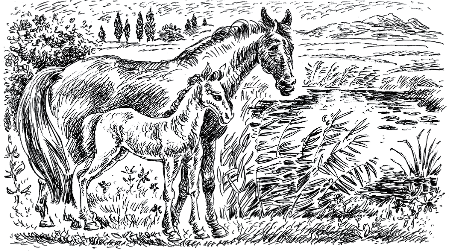 Похищение Пуха - i_018.png