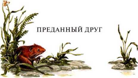 Сказки<br />(Илл. П. Дж. Линча) - i_014.jpg