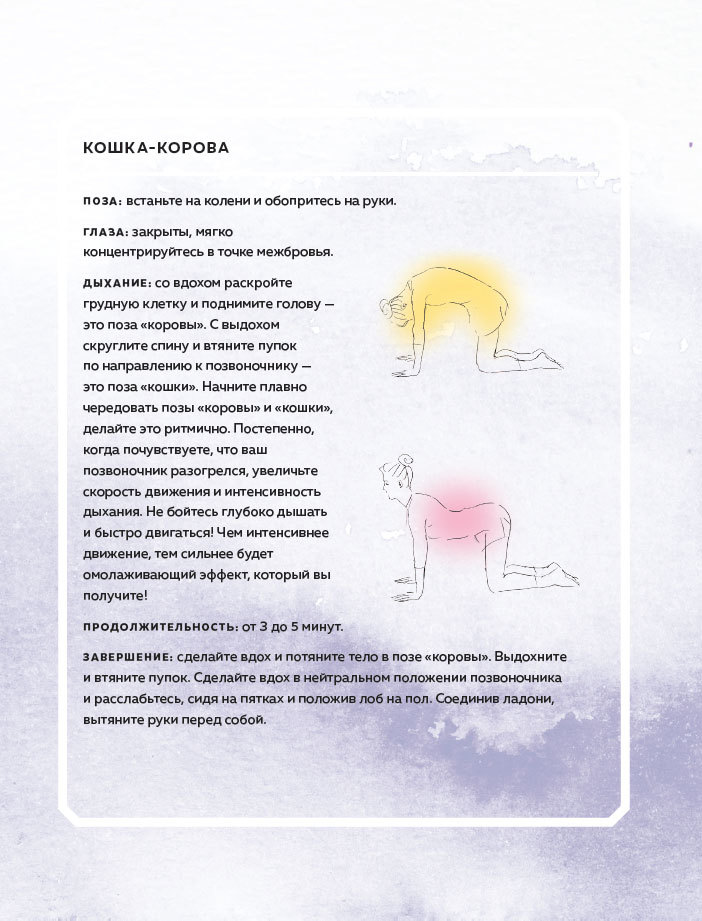 Сила йоги. Асаны для повседневной жизни, секреты красоты и гармоничных отношений - i_015.jpg