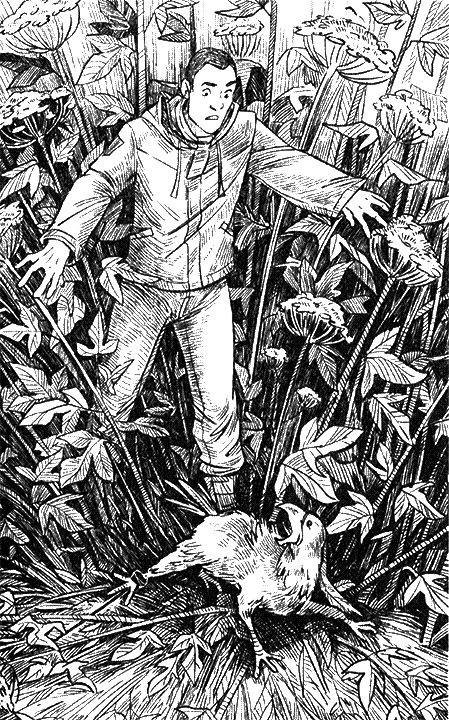 Киборг и его лесник - i_020.png