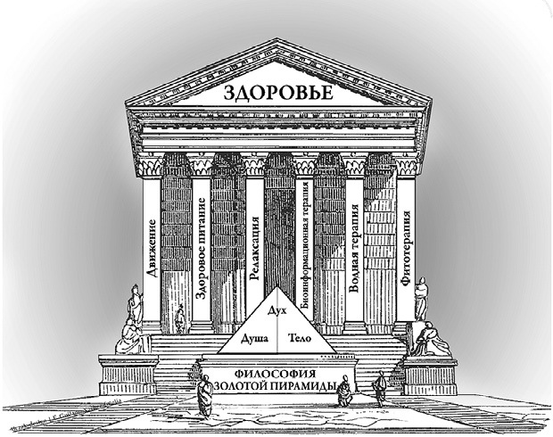 К здоровью – по системе. Биоинформационная терапия - i_003.jpg