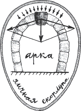 Бионика: подсказано природой - i_039.png
